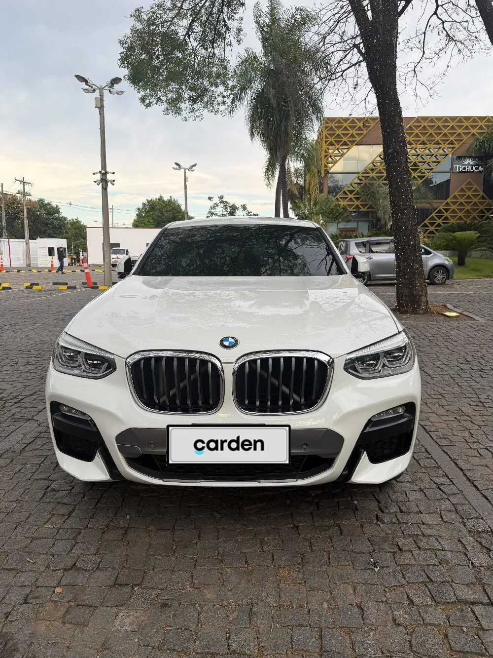 BMW X4 2019