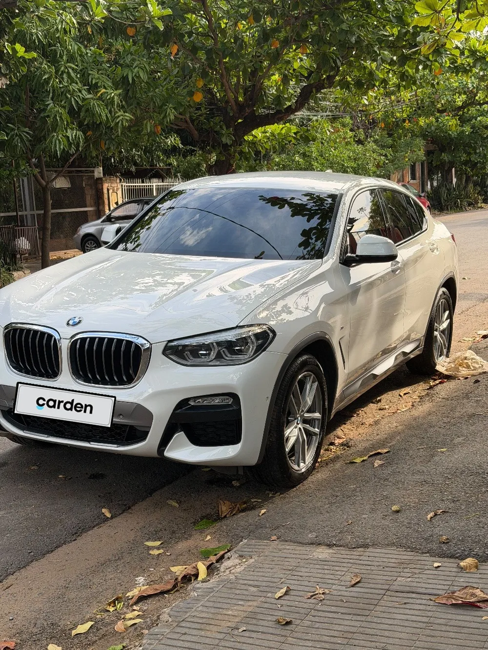 BMW X4 2019, imagen 8