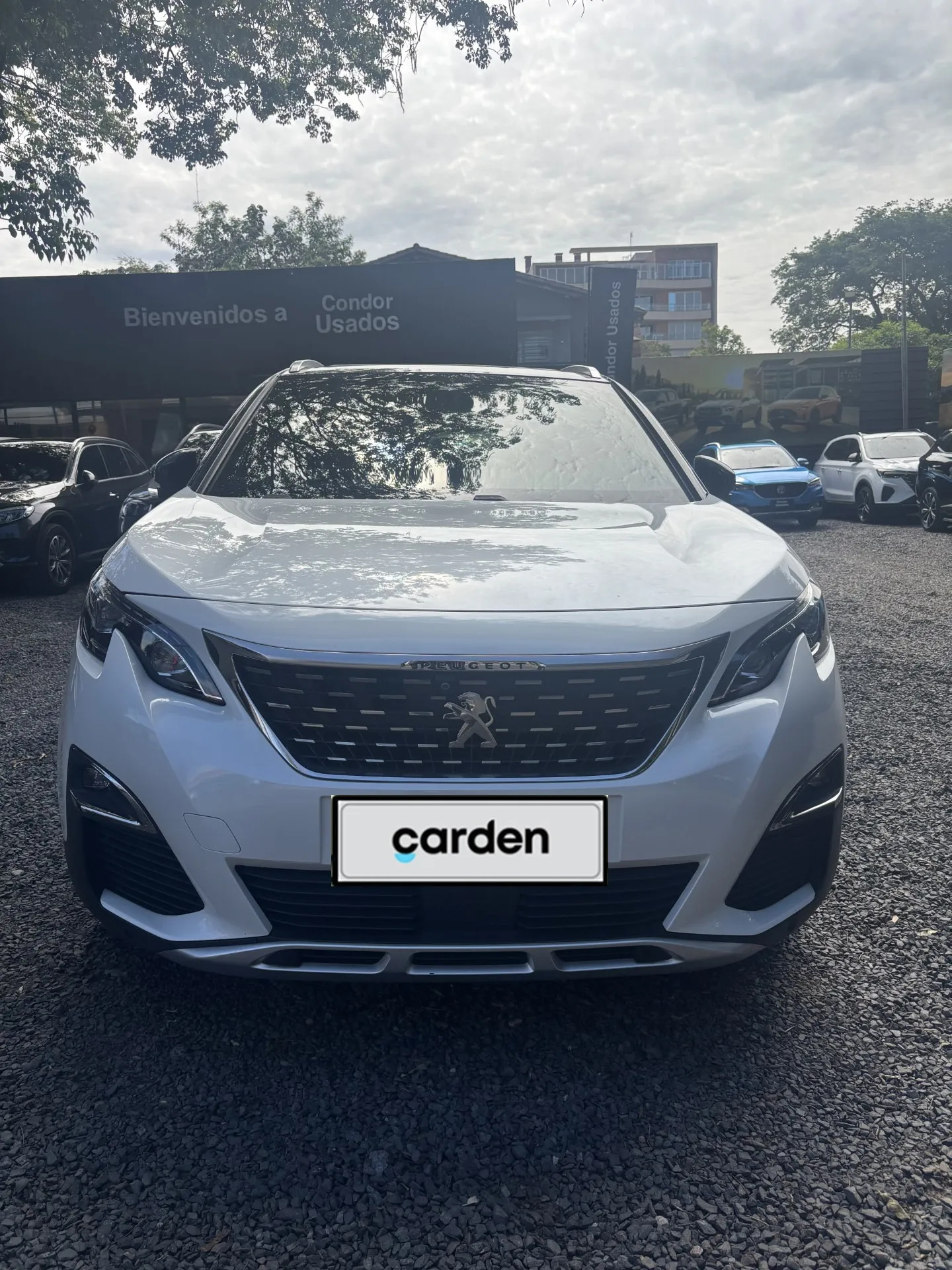 PEUGEOT 3008 2019