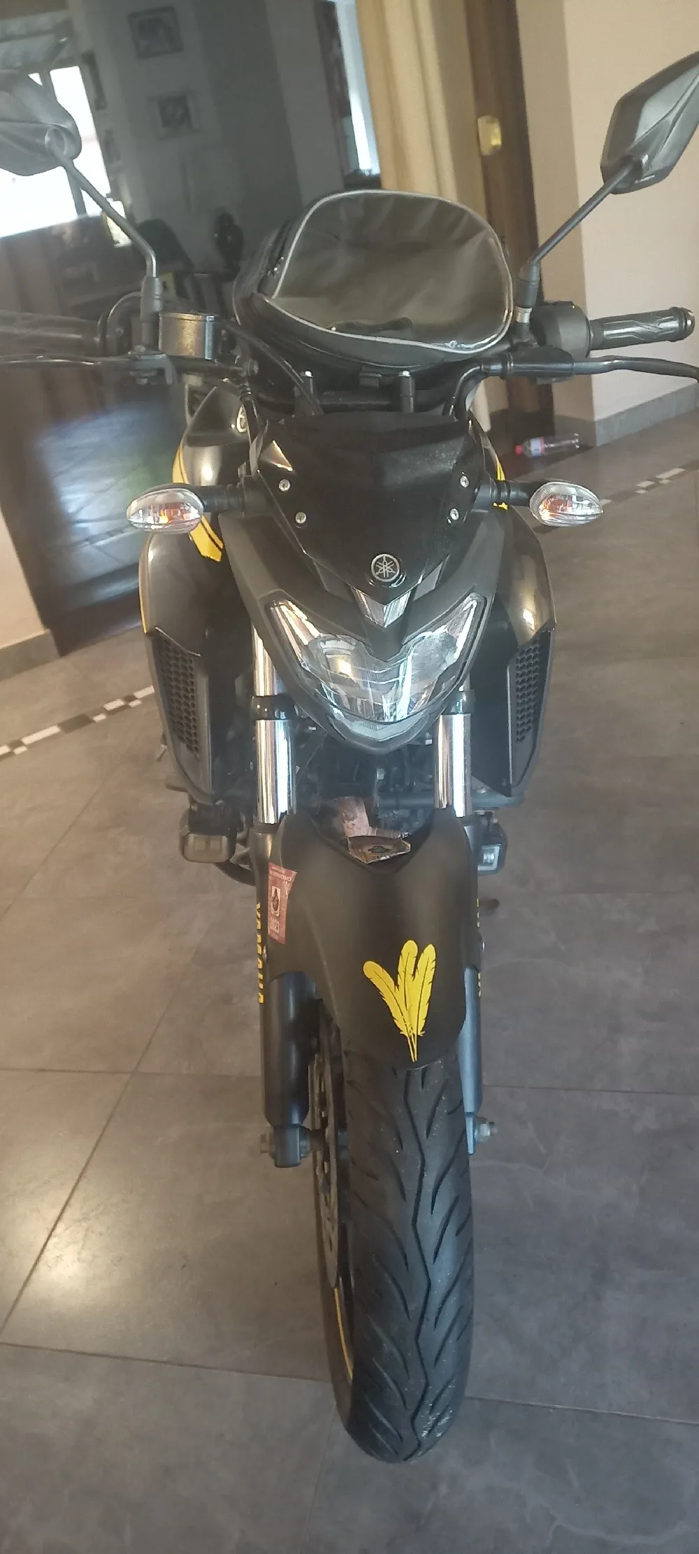 YAMAHA FZ25 2018, imagen 2