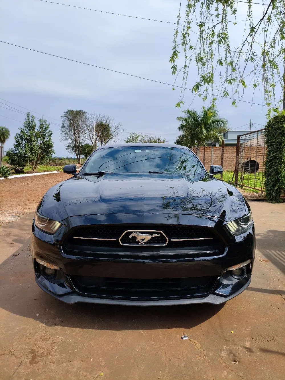 FORD MUSTANG 2016