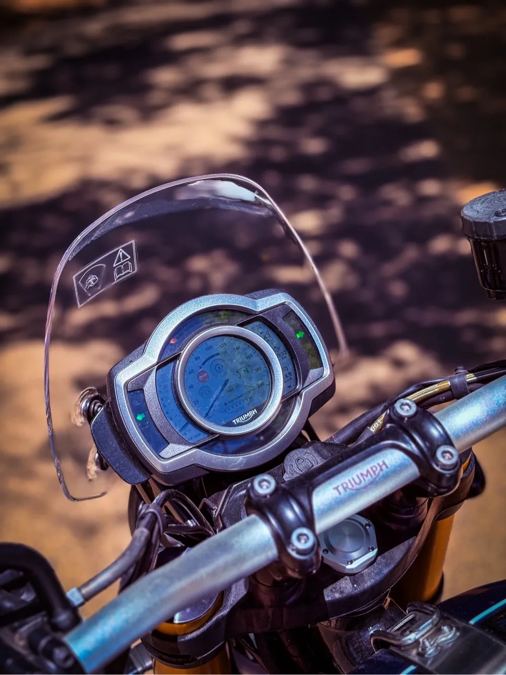 TRIUMPH SCRAMBLER 2019, imagen 2